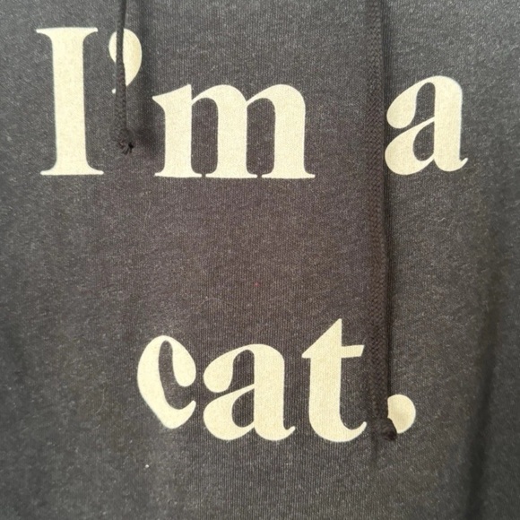 WILDFOX Guess What I Am Cuddles Cat Hoodie With Ears Large NWT - Picture 2 of 11